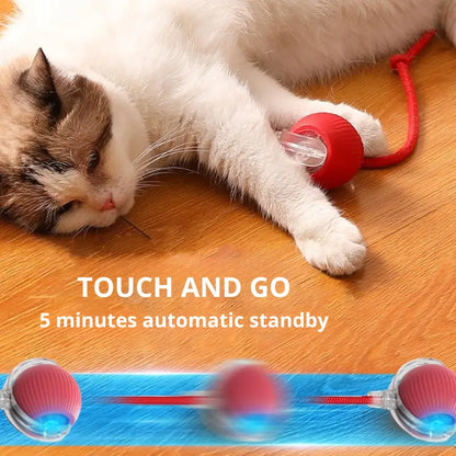 TurboTail 3.0™