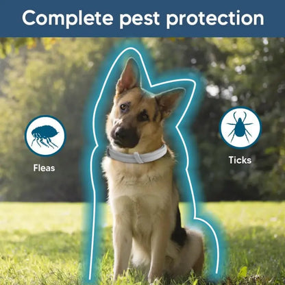 #1 Flea & Tick Collar for Dogs & Cats