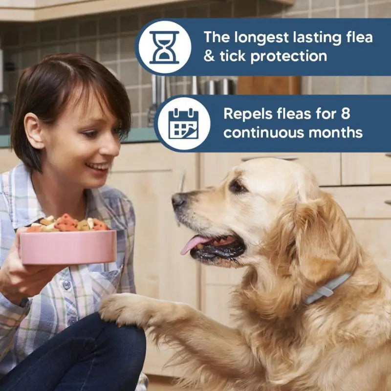 #1 Flea & Tick Collar for Dogs & Cats
