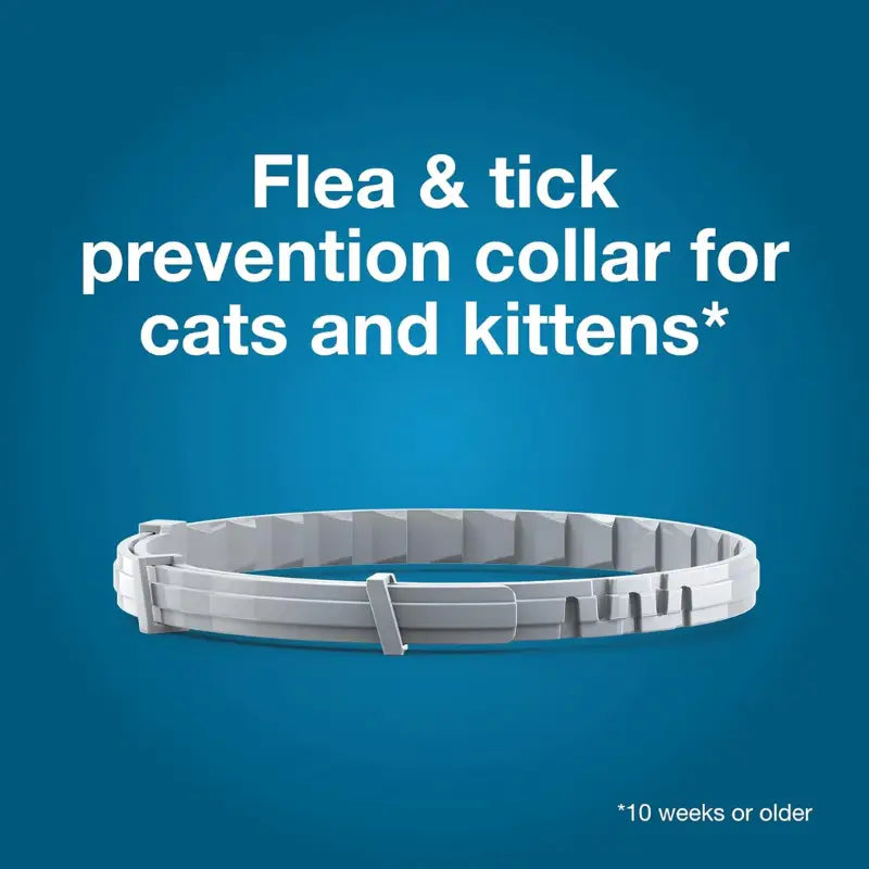 #1 Flea & Tick Collar for Dogs & Cats