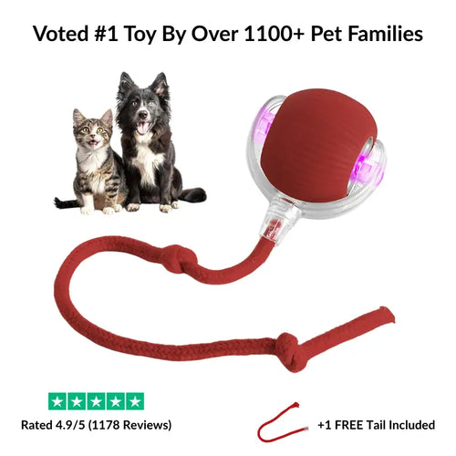 TurboTail 3.0™ - #1 Pet Toy - 55% OFF